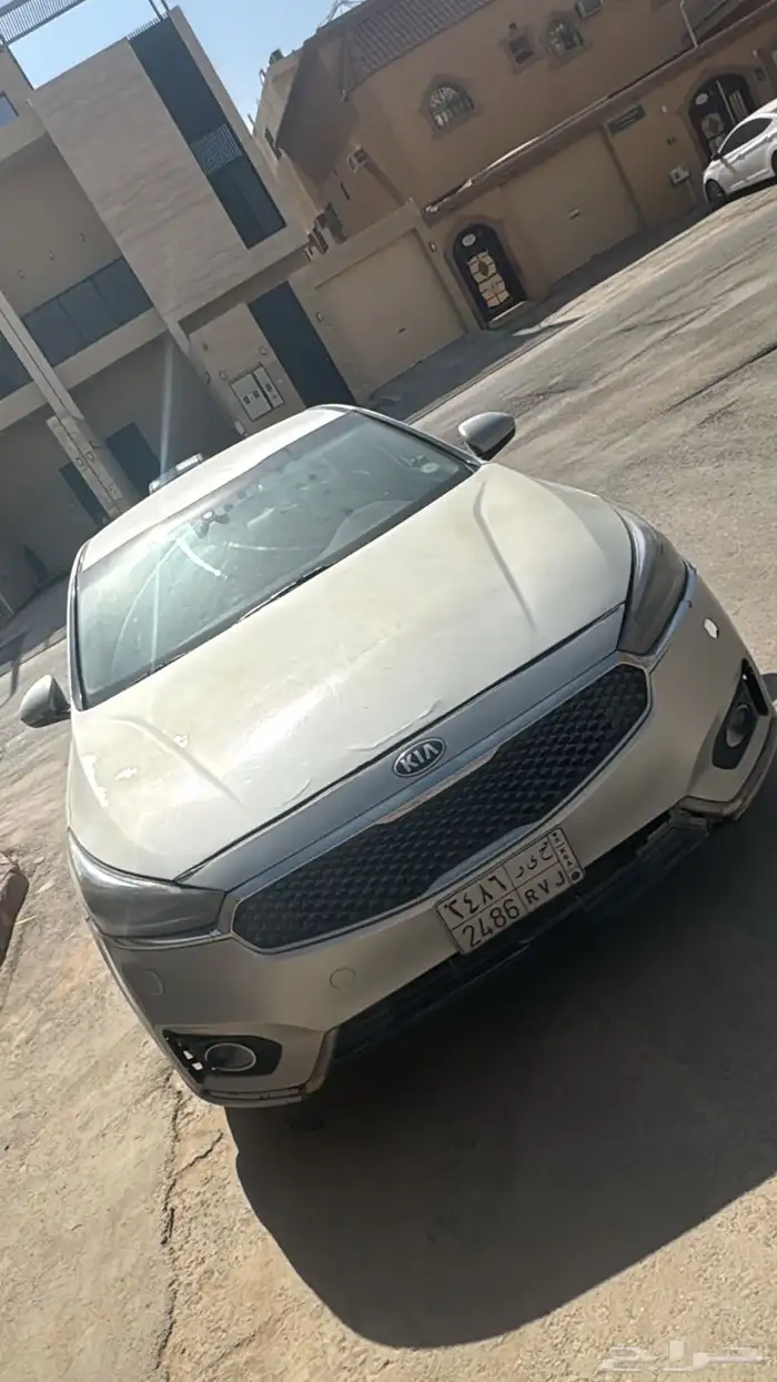 كادنزا 2017 2