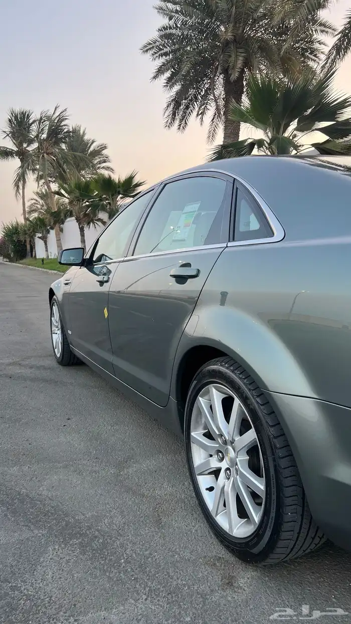 كابرس زعتري 2015 شد بلد وممشى قليل 15