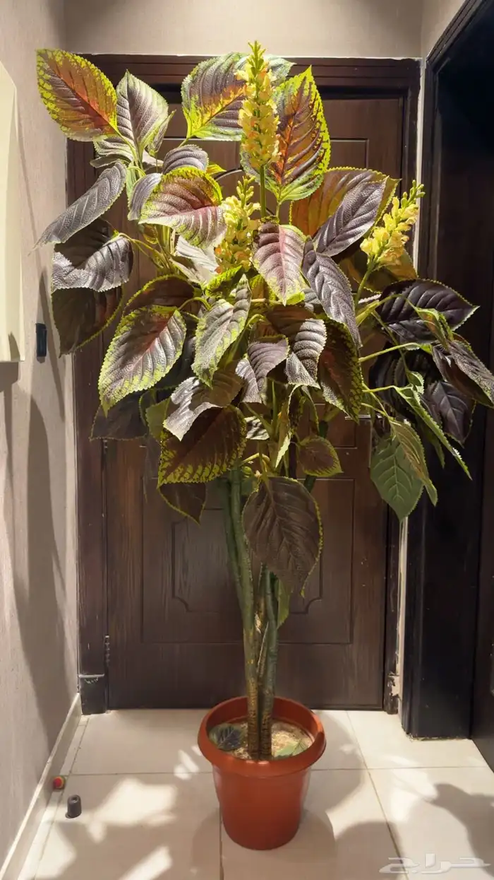 اثاث شجرة زينه حجم كبير بحالة ممتازه 0