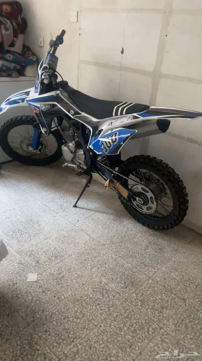 دباب صحراوي 1