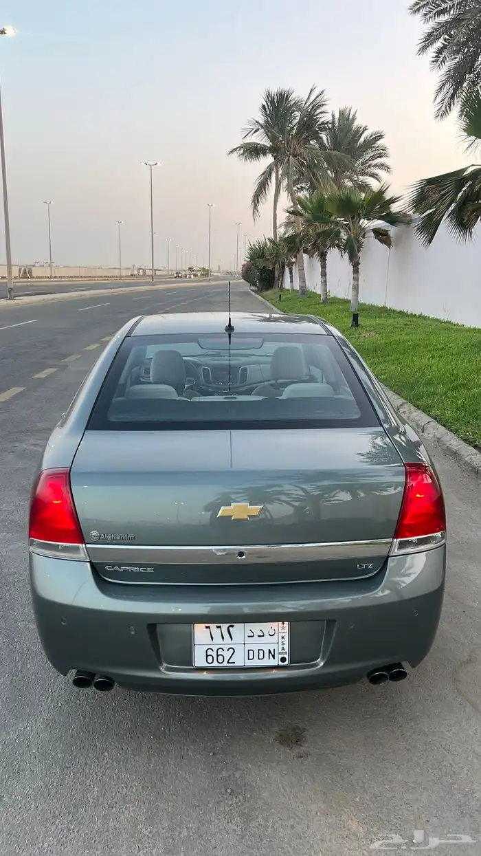 كابرس زعتري 2015 شد بلد وممشى قليل 10