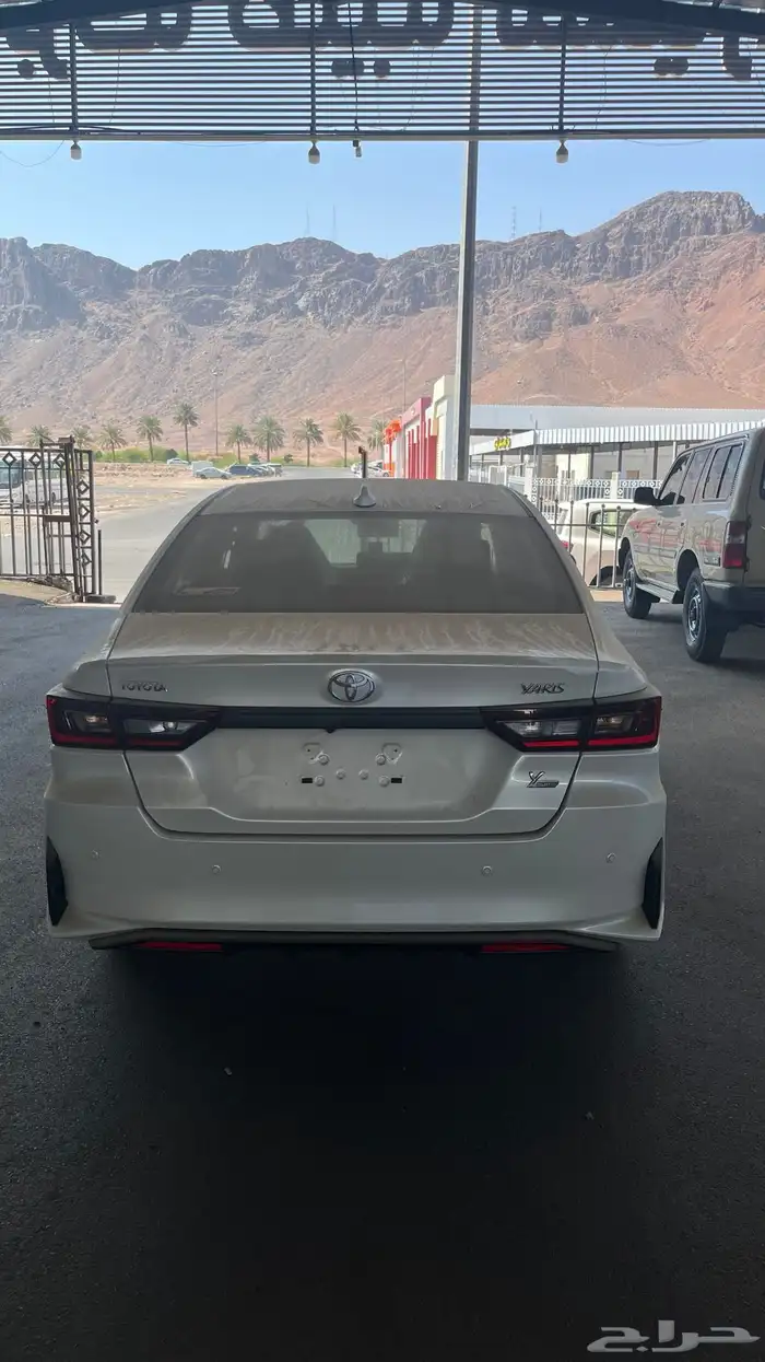 يارس Y Limited 2026 1