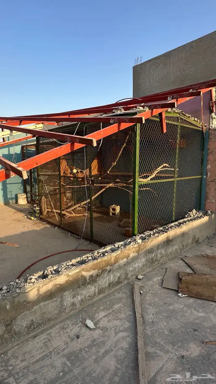 حضيره نظيفه بكامل ملحقاتها . بيوت أعشاش وسقايات 1