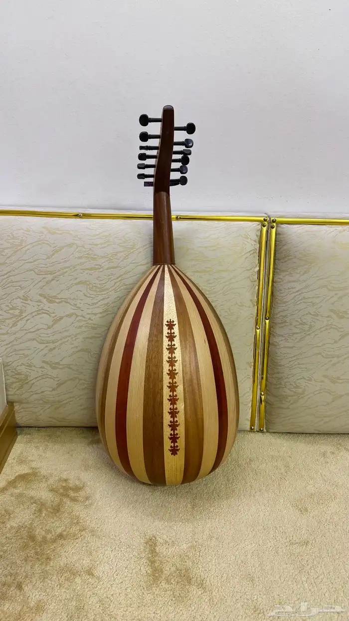 عود بحريني نظيف مشروط 1