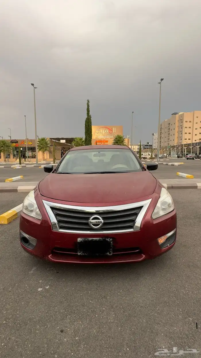 التيما 2013 2