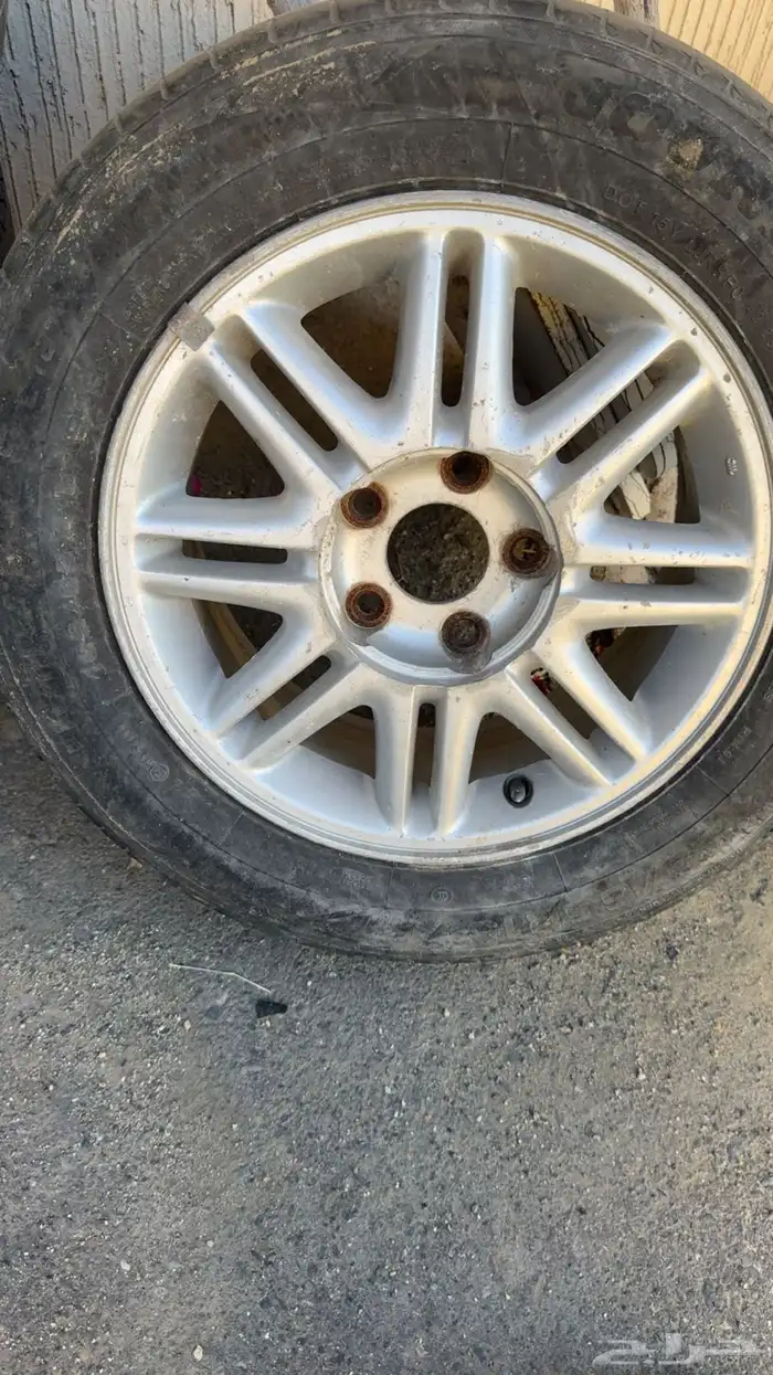 جنوط مكسيما 0