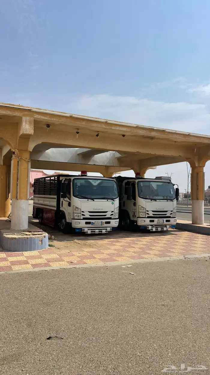 دينه دينا محايل 1