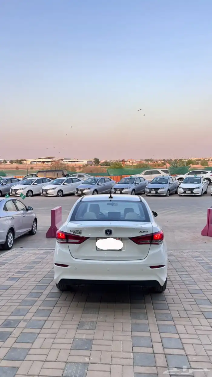 شانجان السفن 2025 فل كامل عرض خاص فاتورة ضريبيه 5