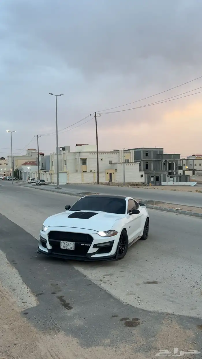 موستنق 6 سلندر 2015 4