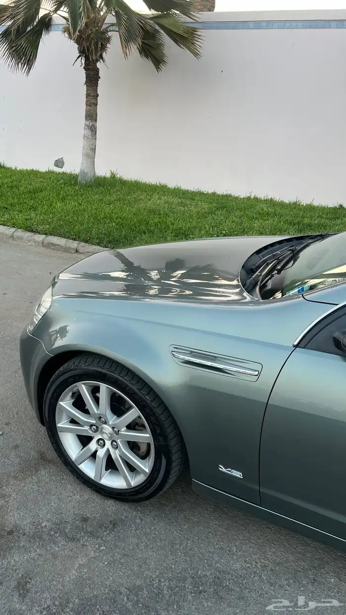 كابرس زعتري 2015 شد بلد وممشى قليل 19