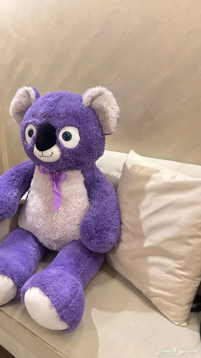 دبدوب كبير 0