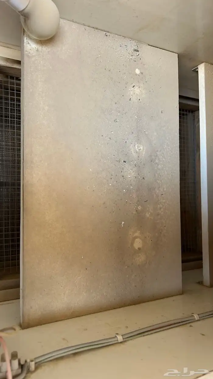 فقاسم 0