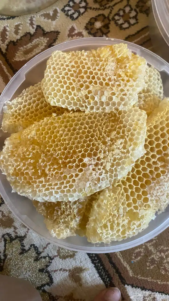 عسل بري قرض وسدر 0