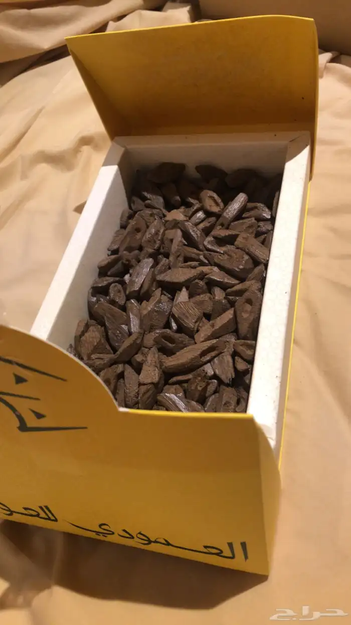 عود مروكي محسن 0