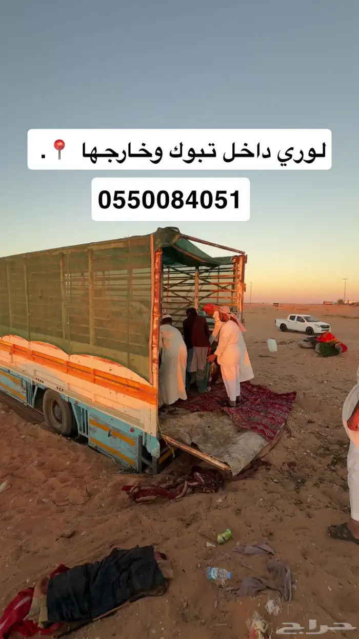 لوري نقل حلال وأعلاف داخل تبوك وخرجها 0