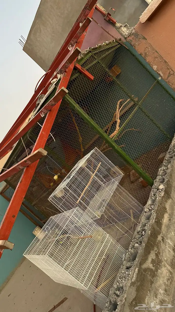 حضيره نظيفه بكامل ملحقاتها . بيوت أعشاش وسقايات 0