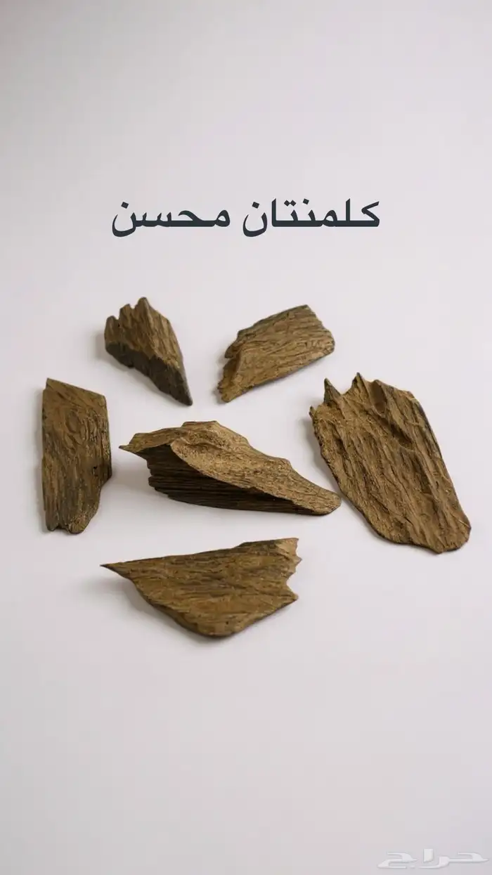 عينات العود 4