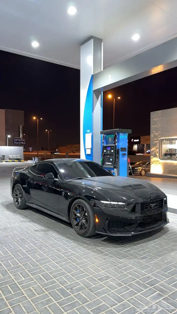 موستنق دارك هورس 2024 5