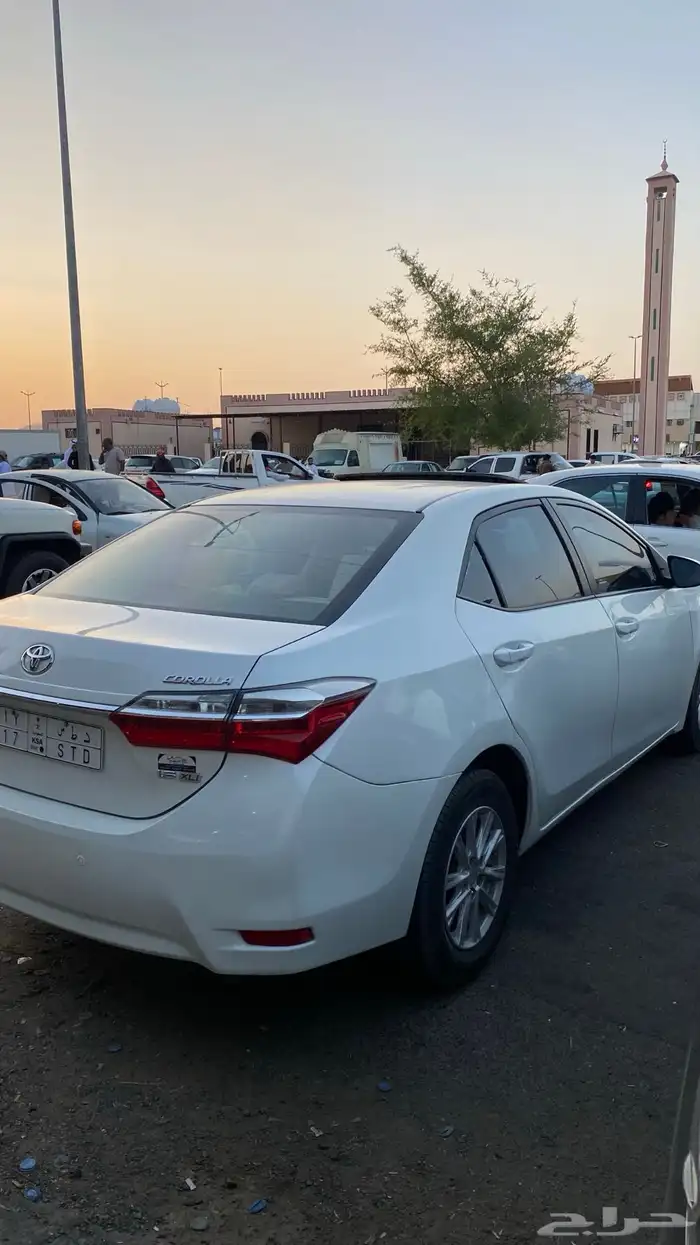 كورولا 2019 للبيع 3