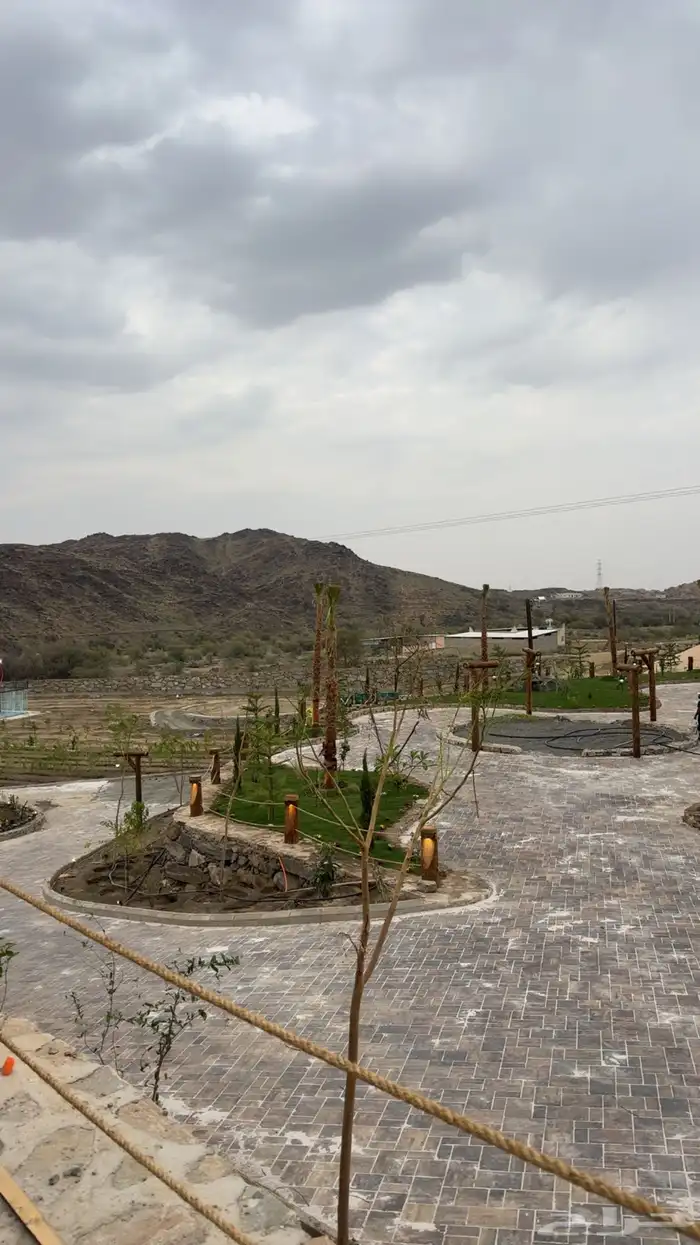 كراسي وطاولات خشبيه جوده عاليه 30