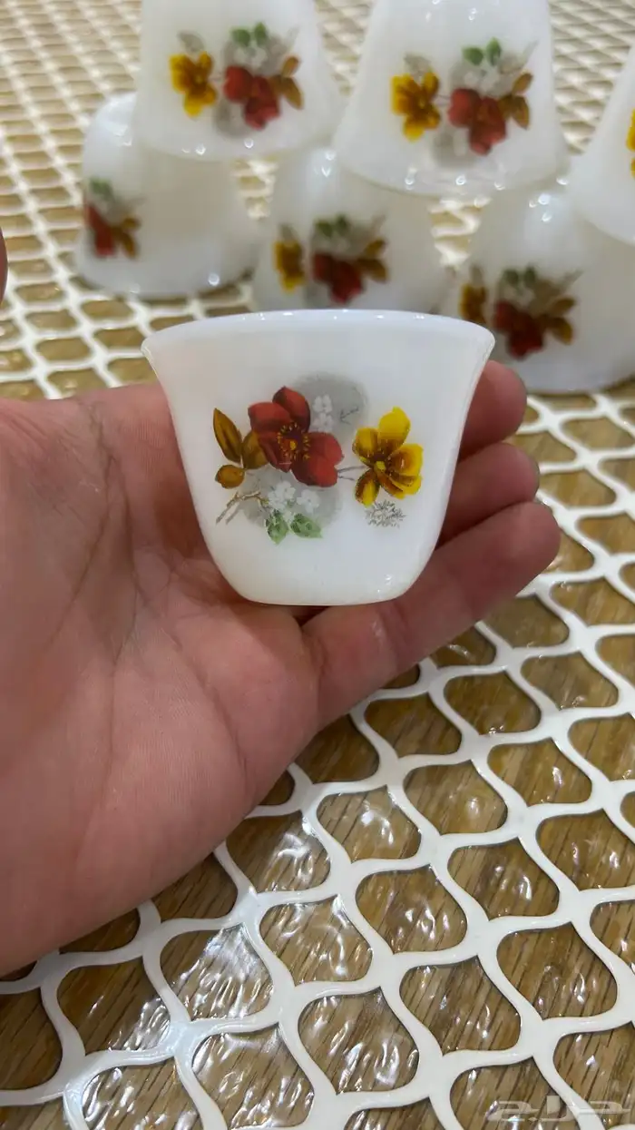 فناجيل نادرة ابو وردة السيف كوريات 0