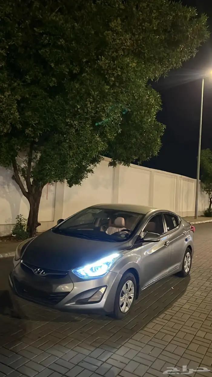 المجاردة 27