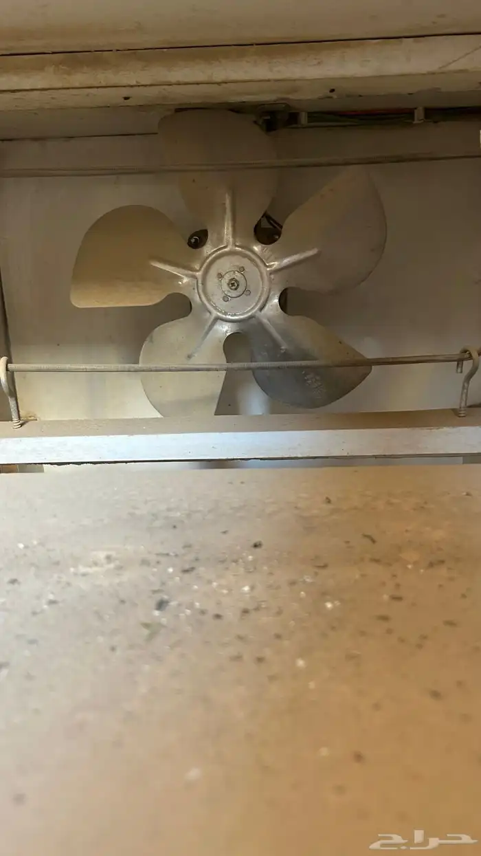 فقاسم 1