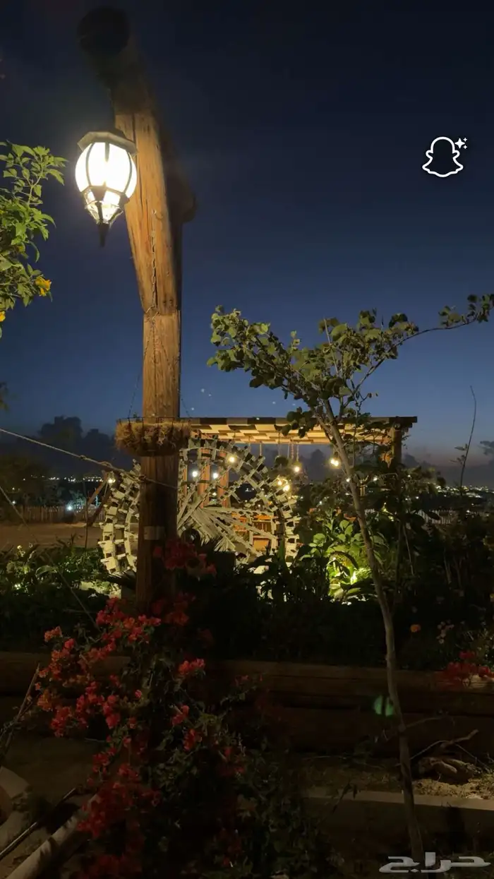 كراسي وطاولات خشبيه جوده عاليه 15