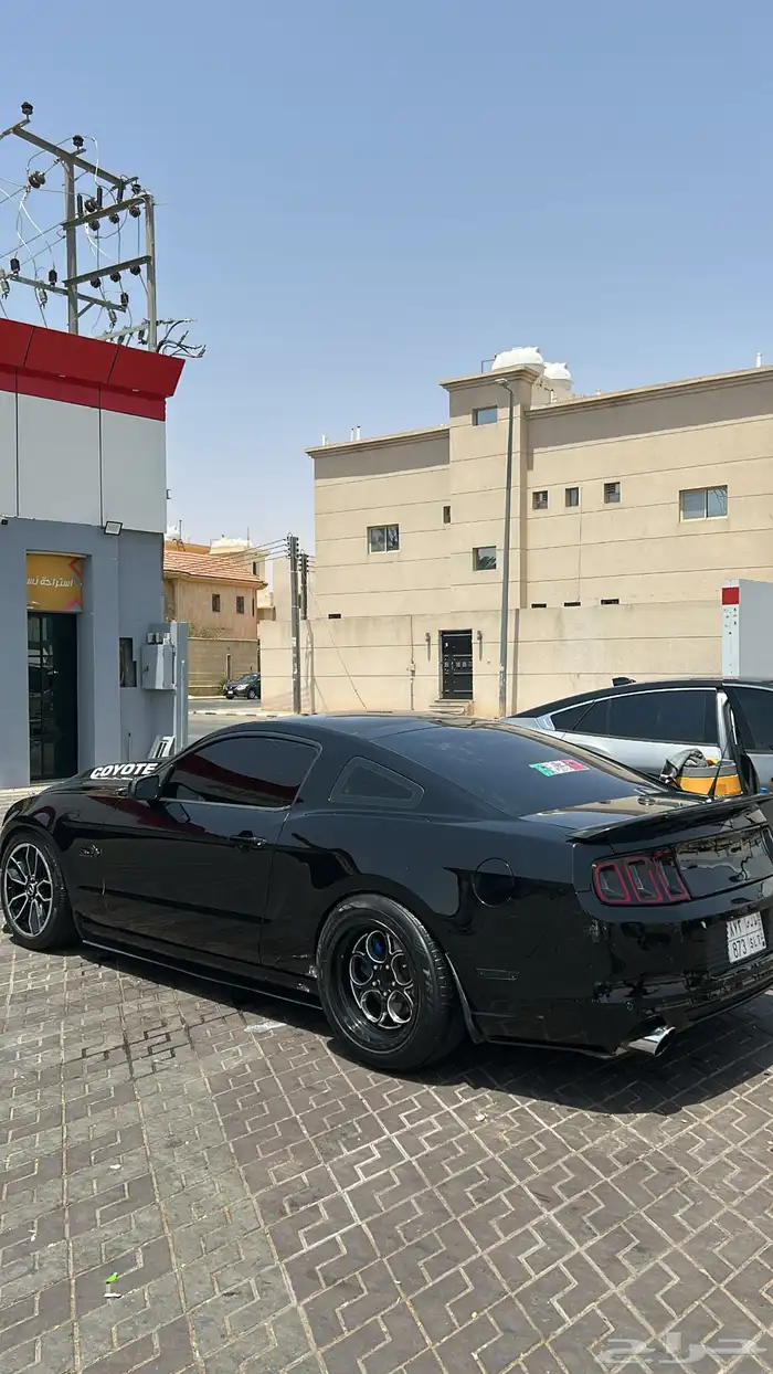 موستنج 14 بريموم بانوراما للبدل بجي قير عادي 1