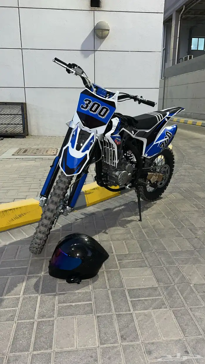 دباب صحراوي 2