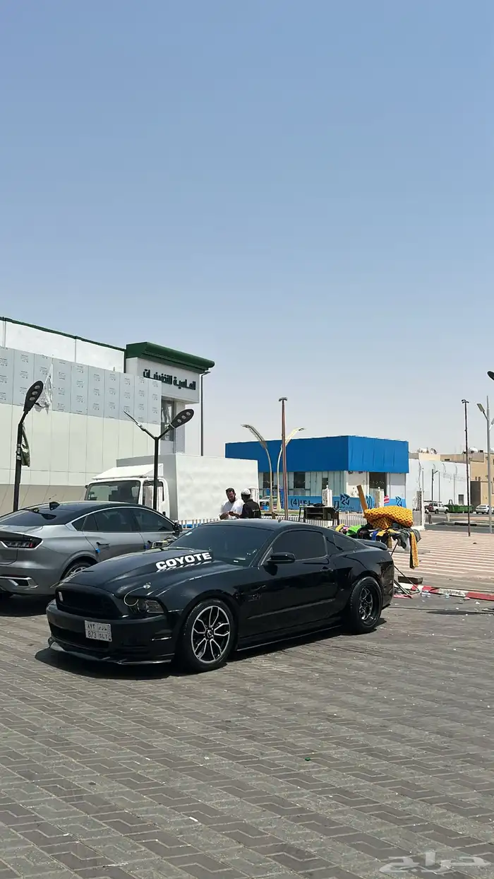 موستنج 14 بريموم بانوراما للبدل بجي قير عادي 4
