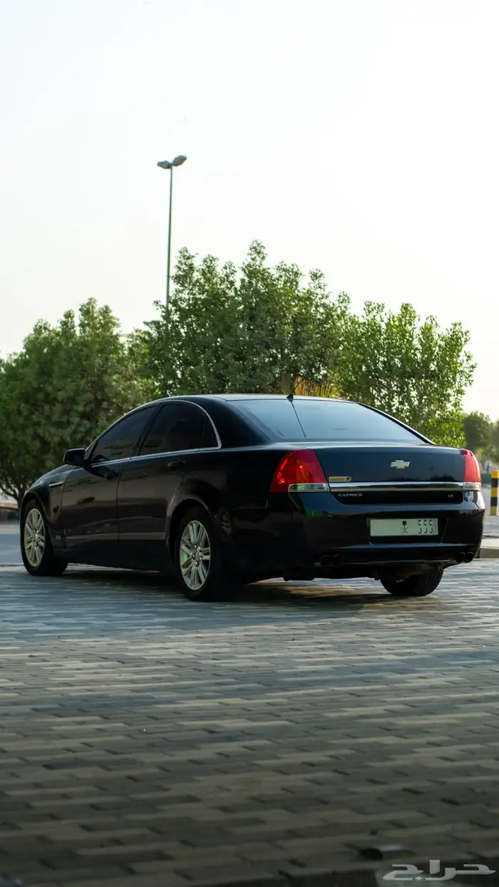 كابرس LS (اسود اساس) مجدد بالكامل 6