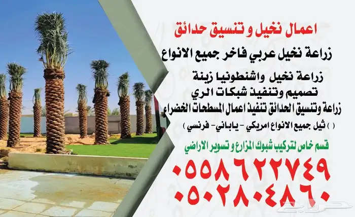 جميع انواع السيوف 0