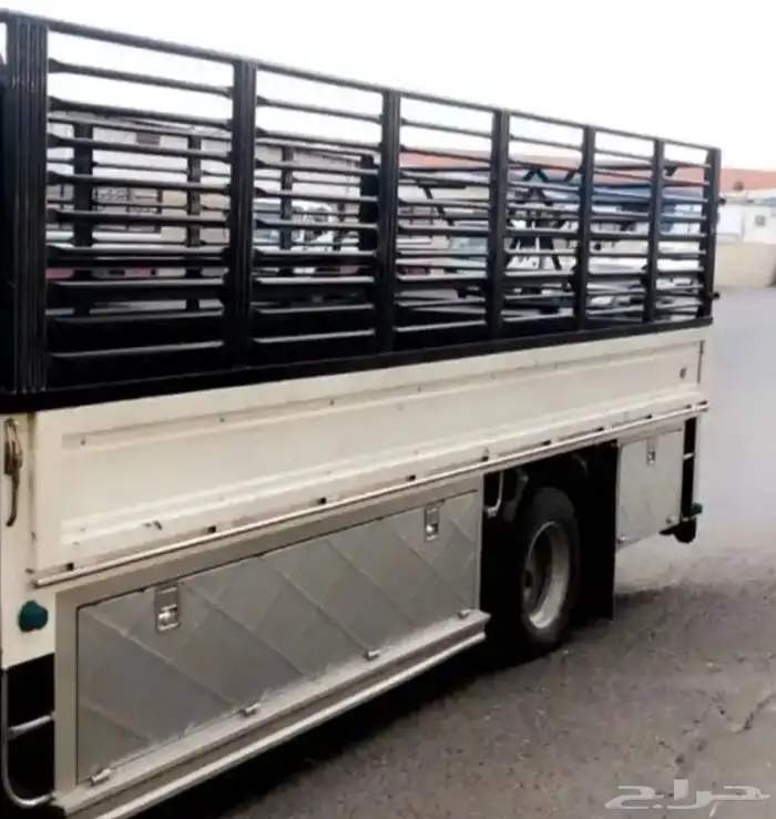 دنا بالدوادمي 0