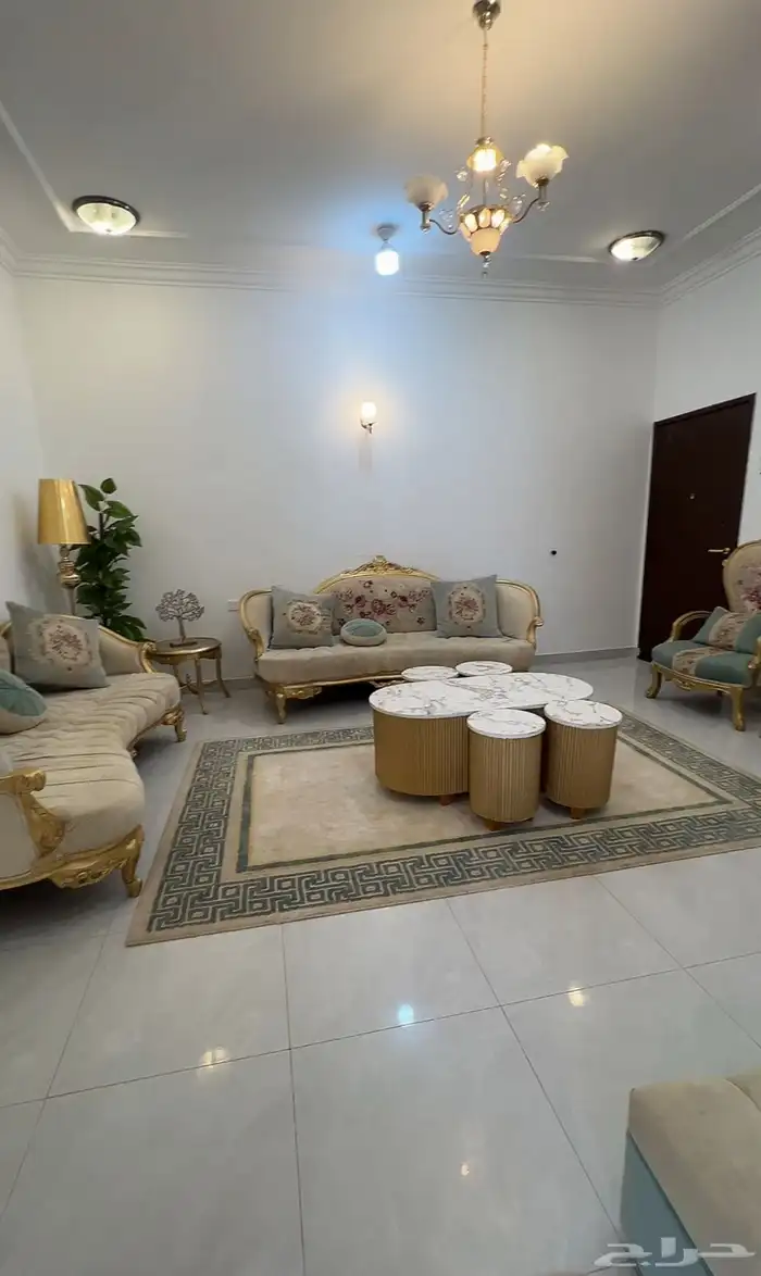 كنب ملكي مع سجاد تركي  طاوله كبيره واربع قطع   ستارتين 0