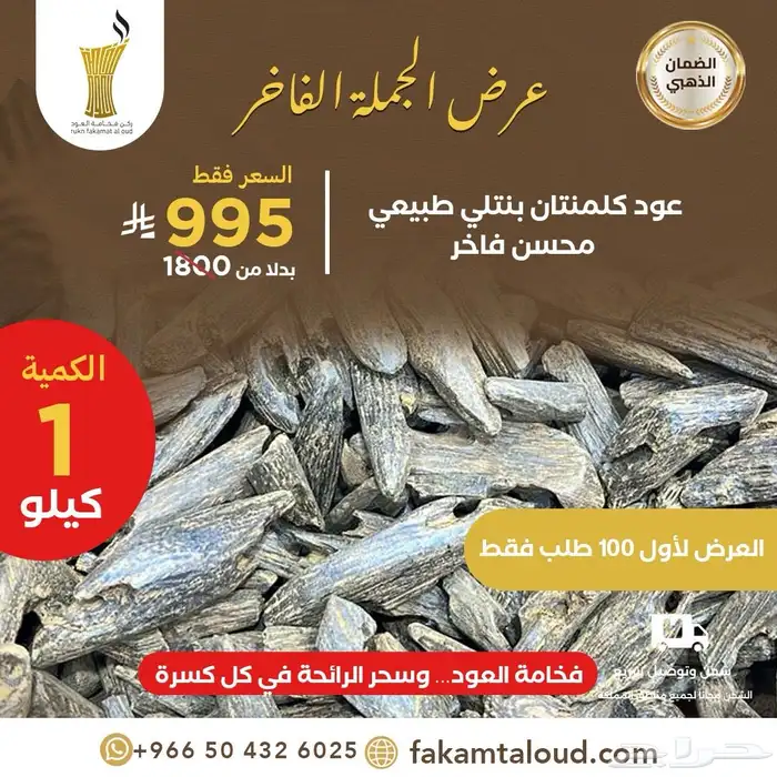 عرض جملة الجملة 4