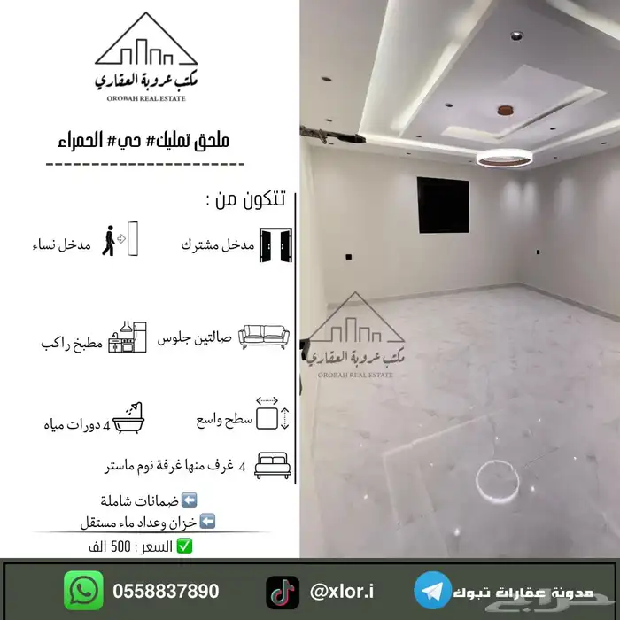 للبيع ملحق تمليك حي الحمراء تبوك 0