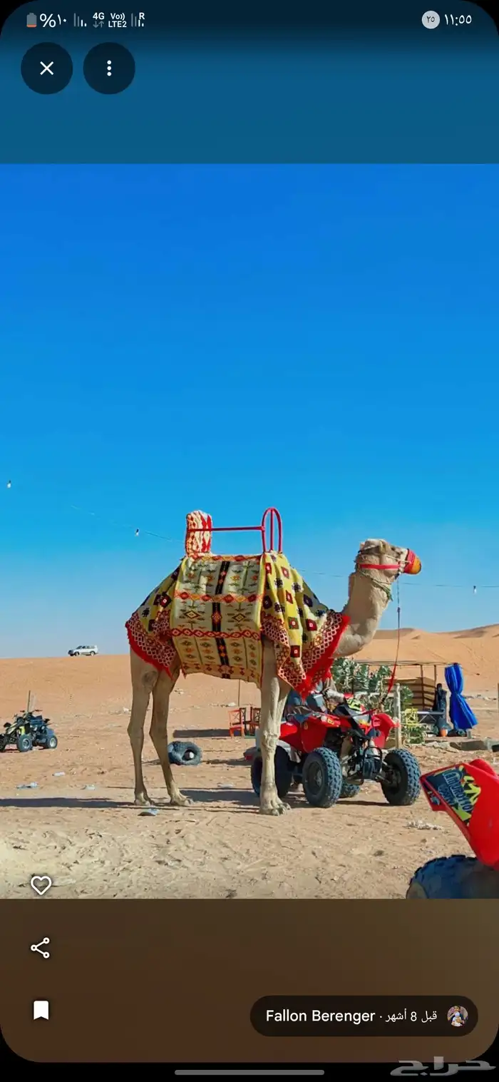 أجار جمال ركبي وا خيول وا دبابات بي اليوم وا الاسبوع 6