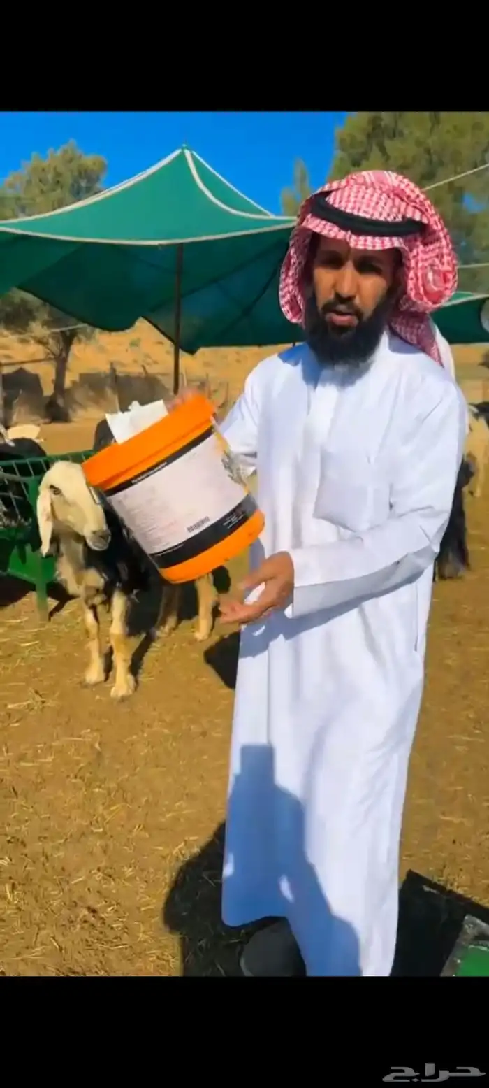 أدوية غنم صيدلية الرعاية والعلاج البيطرية الخمرة جدة 1