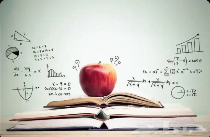 معلم مصري قدرات كمي وتحصيلي ورياضيات جميع المراحل 2