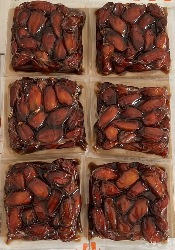 الخبر المنطقة الشرقية 0