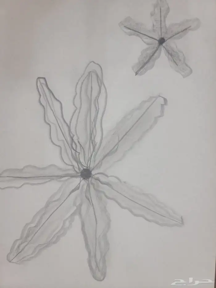 رسومات للبيع الوحدة على عشرة ريال 1