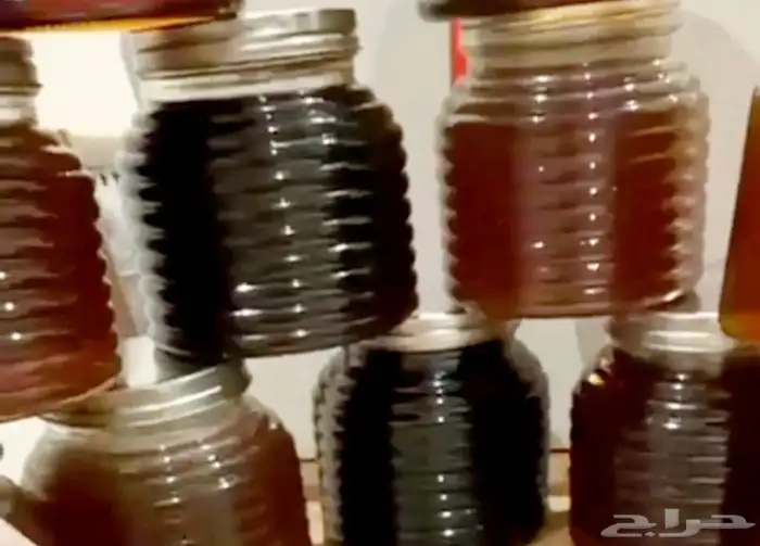 عسل سدر مصدر العسل بلدي من محايل عسير السعر 250 3