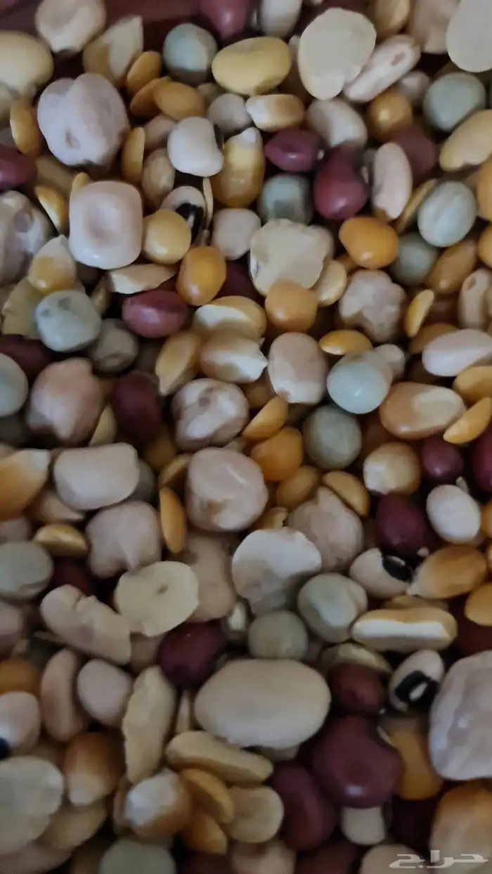 خليط حبوب المنقوع المتكامل للطيور 4