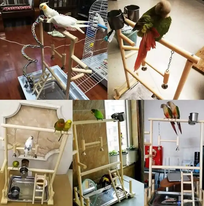 استاند طيور 1