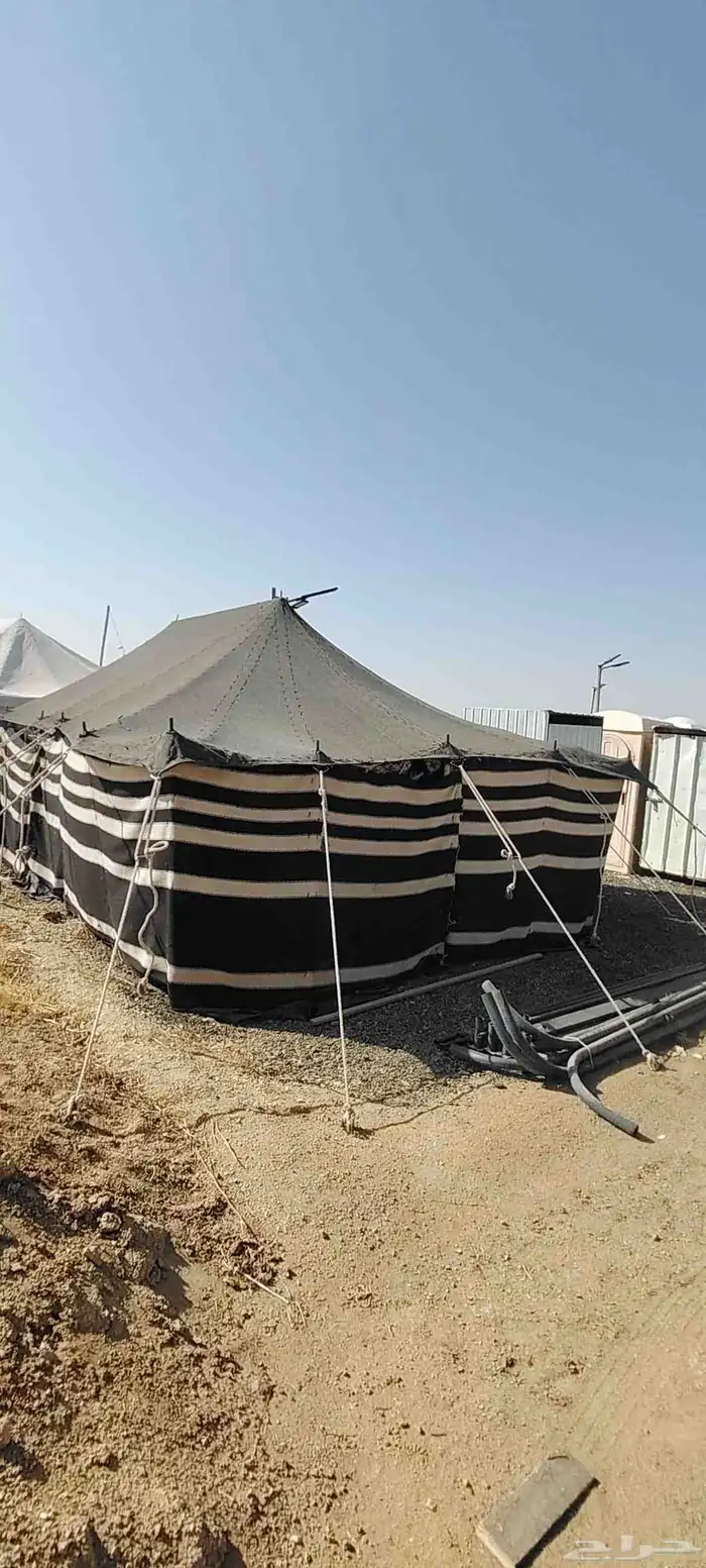 بيت شعر 5في9 عمدان نضيف شرط 0