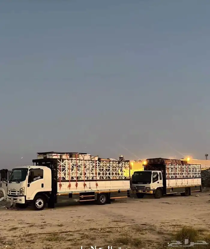 لوري دينه صندوق كبير 7م لنقل 2