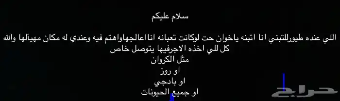 سلام تبني الحيوانات 0