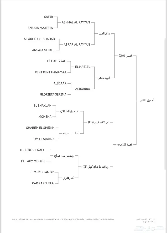 حصان واهو فاخر 4