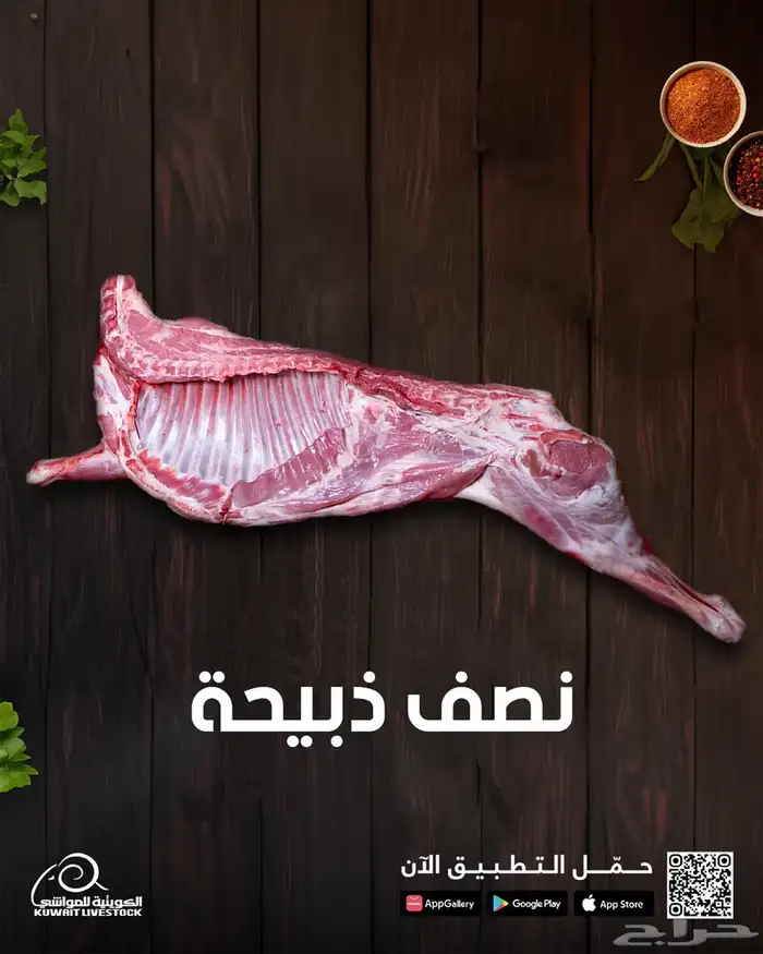 كتابة المحتوى اعلاني ومصممة جرافيك وادارة سوشل ميديا فويس او 5